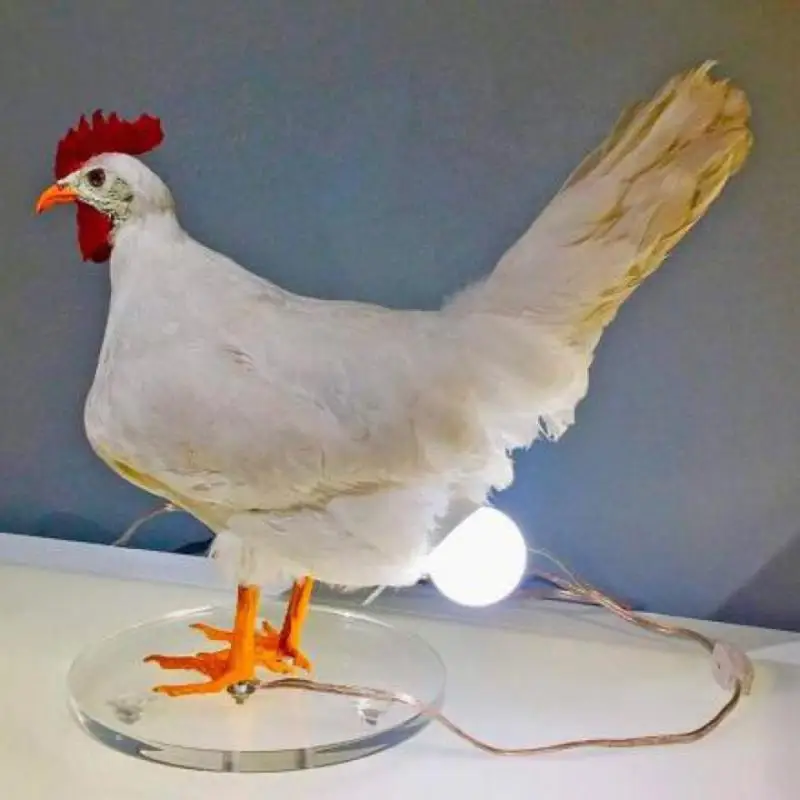 Tavuk gece lambası yaratıcı tavuk yumurtası aydınlatma Lambası